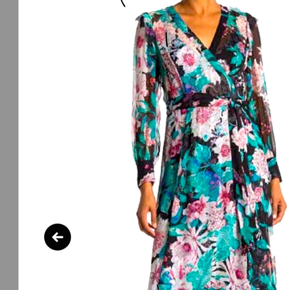 Diane Von Furstenberg Linnet Sheer Chiffon dress😍